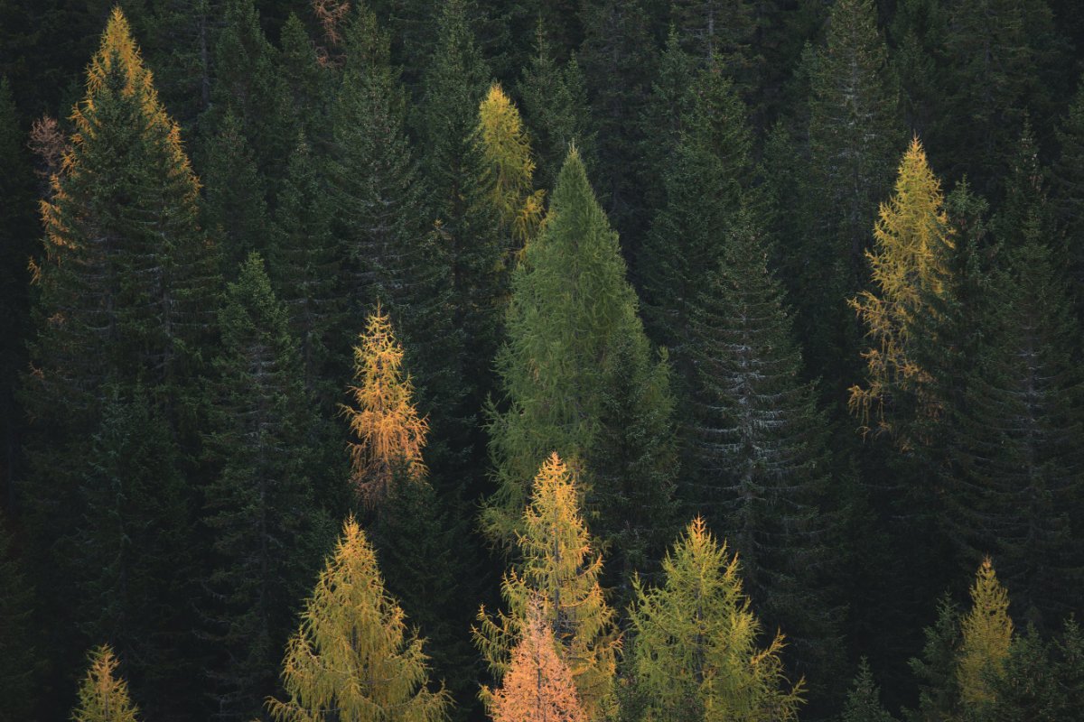 federico-bottos-Z3NceSeZqgI-unsplash